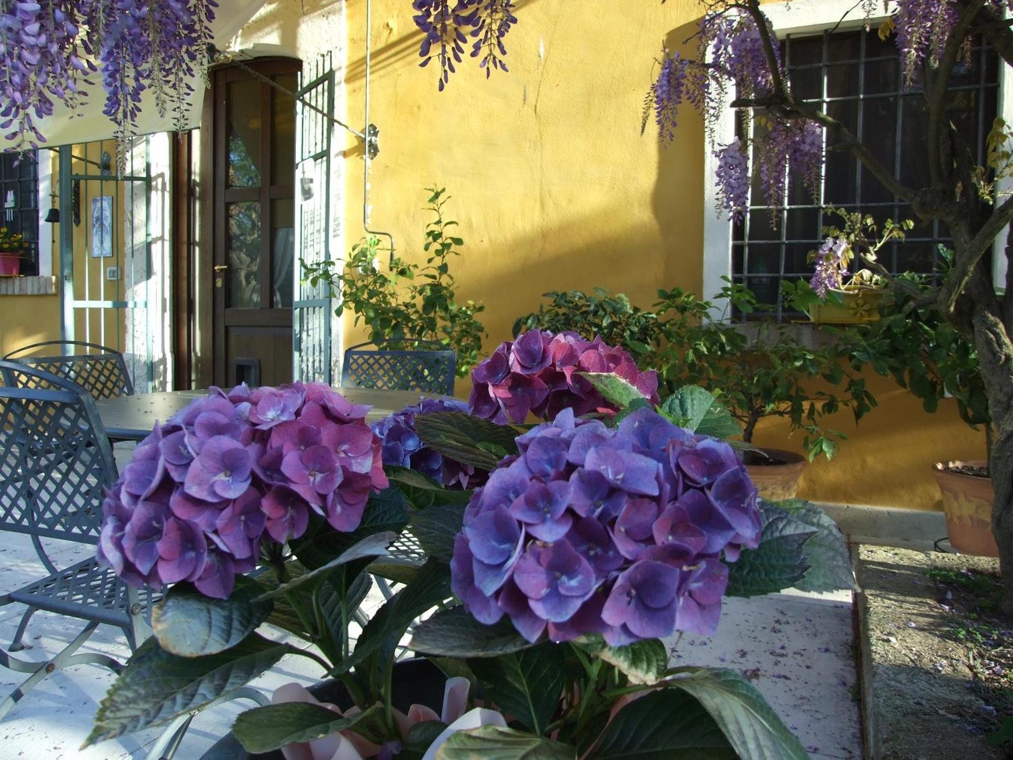B&B Casacasina Monzambano Dış mekan fotoğraf