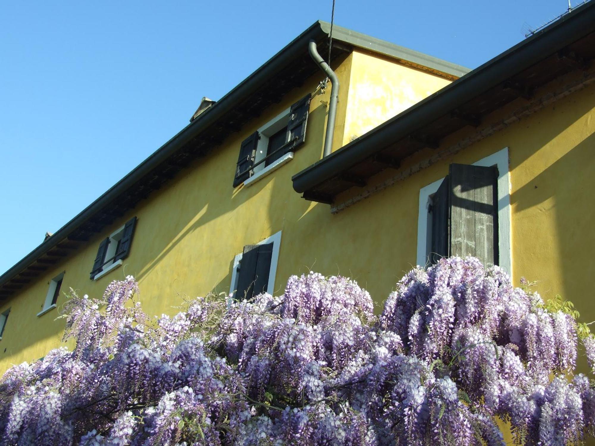 B&B Casacasina Monzambano Dış mekan fotoğraf